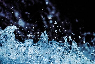 Water dew selective focus on the photos
